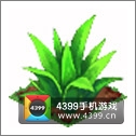 全民小镇芦荟种子建造时间 所需等级详细数据