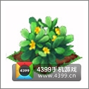 全民小镇花生种子建造时间 所需等级详细数据