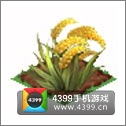 全民小镇水稻种子建造时间 所需等级详细数据