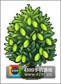 全民小镇橄榄树建造时间 所需等级详细数据