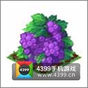 全民小镇葡萄种子建造时间 所需等级详细数据