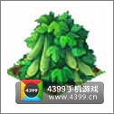 全民小镇黄瓜种子建造时间 所需等级详细数据