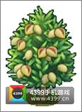 全民小镇杏仁树建造时间 所需等级详细数据