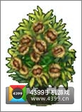 全民小镇栗子树建造时间 所需等级详细数据
