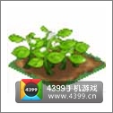 全民小镇棉花种子建造时间 所需等级详细数据