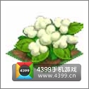 全民小镇棉花种子建造时间 所需等级详细数据