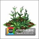 全民小镇薰衣草种子建造时间 所需等级详细数据