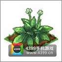 全民小镇人参种子建造时间 所需等级详细数据