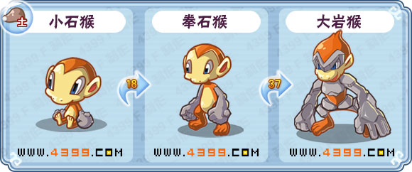 卡布西游大岩猴刷什么 练级