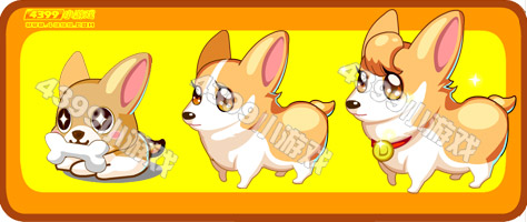 奥比岛小黄柯基犬