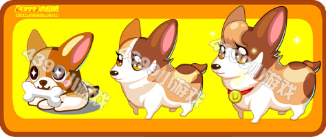 奥比岛小花柯基犬