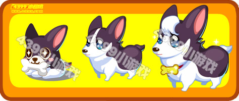 奥比岛小黑柯基犬
