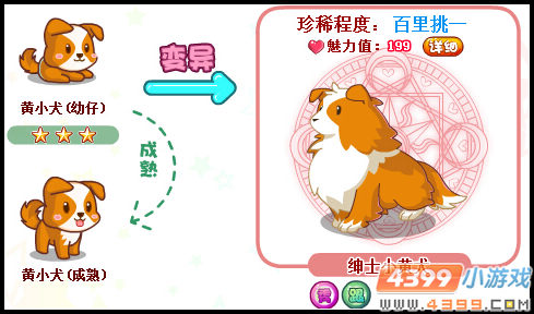 奥比岛绅士小黄犬