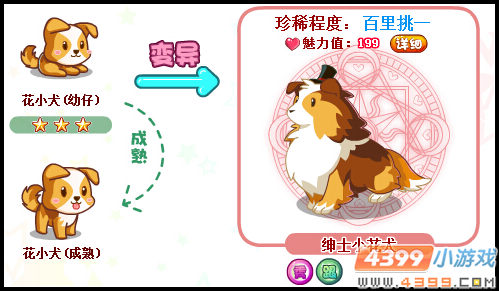 奥比岛绅士小花犬