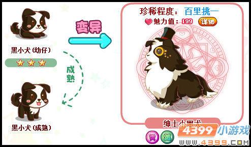 奥比岛绅士小黑犬