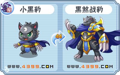 卡布西游黑煞战豹刷什么 练级