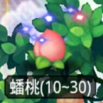 爆笑西游天宫道具蟠桃