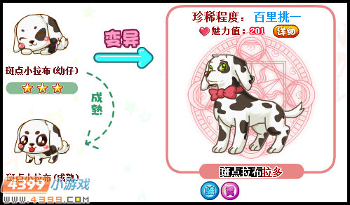 奥比岛斑点拉布拉多