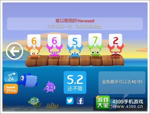 空中飞鱼评测