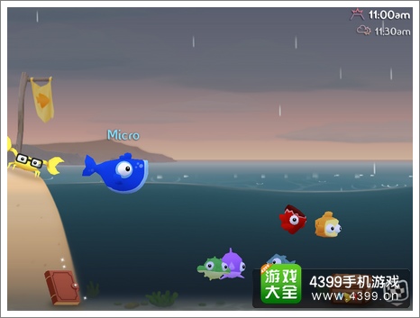 空中飞鱼飞鱼种类