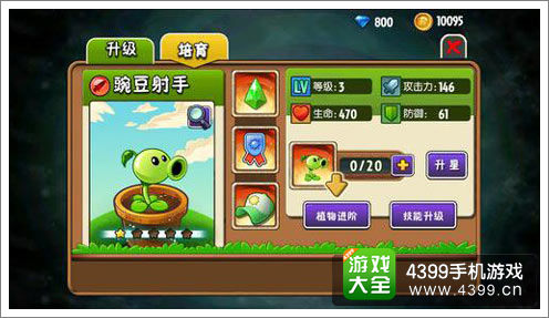 植物穿戴装备