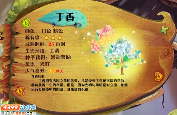 小花仙丁香花花种
