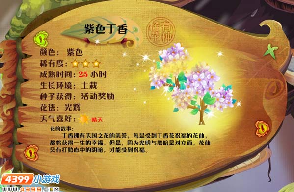 小花仙丁香花花种