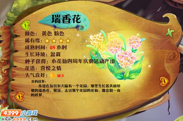 小花仙瑞香花 瑞香花花种