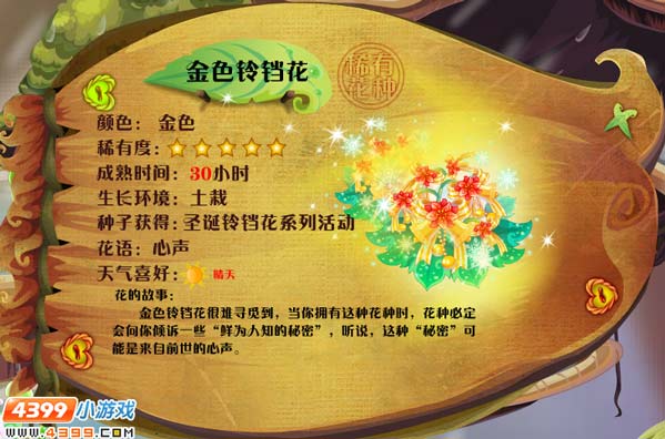 小花仙金色铃铛花 金色铃铛花花种