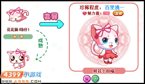 奥比岛鲜花小粉喵