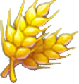 全民农场麦子