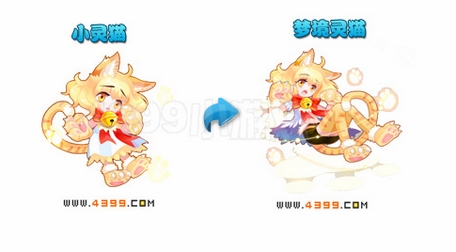 奥雅之光小灵猫
