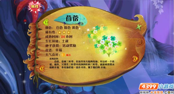 小花仙苜蓿  苜蓿花花种