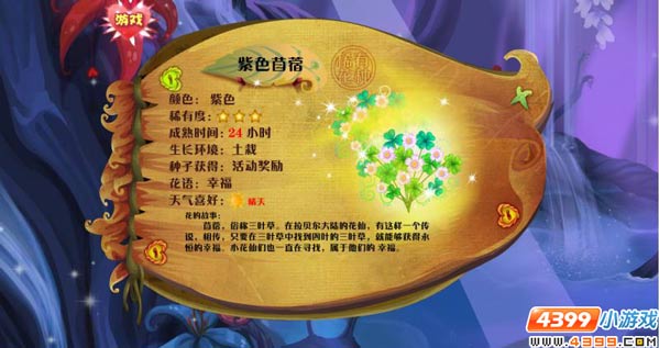 小花仙苜蓿  苜蓿花花种
