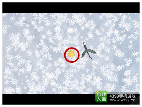 蜉蝣
