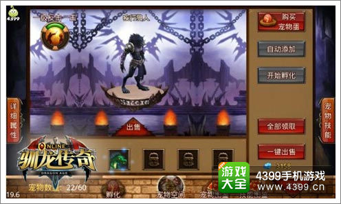《驯龙传奇》游戏面板
