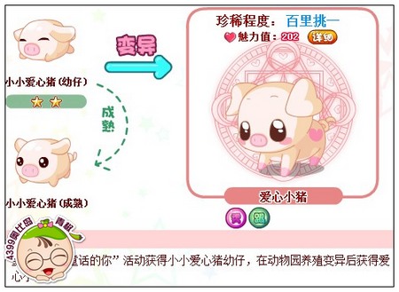 奥比岛爱心小猪怎么得