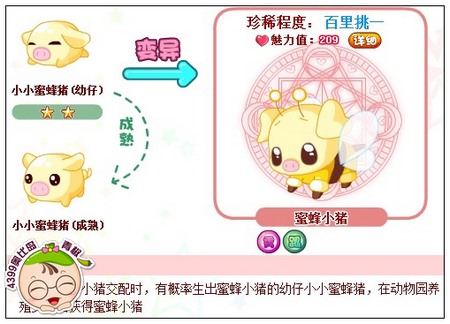 奥比岛蜜蜂小猪怎么得