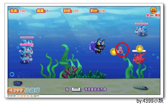 卡布西游流星飞马在哪 怎么得
