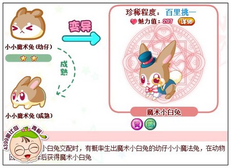 奥比岛魔术小白兔在哪得 怎么得