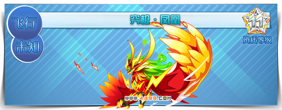 奥拉星究极凤凰爆料