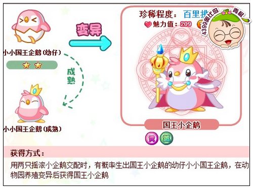 奥比岛国王小企鹅怎么得 在哪得