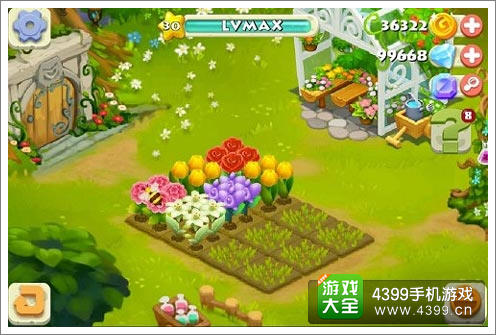 阿狸农场神秘系统