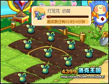 洛克王国驱散黑暗 赢严父果