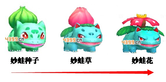 口袋妖怪妙蛙种子进化流程