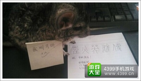 圣火英雄传攻略