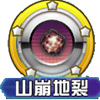 口袋妖怪尼多王技能