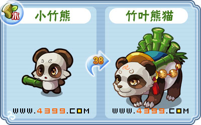 卡布西游竹叶熊猫刷什么 练级