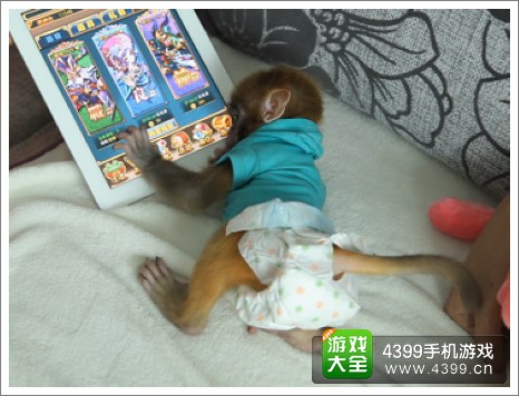 猴子玩手机游戏