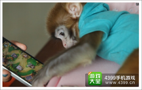猴子玩手游